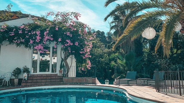 A swimming pool with a clear blue water, surrounded by a garden with pink flowers and palm trees. - Jardines De La Reina Boutique B&B (Marbella)