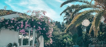 Jardines De La Reina Boutique B&B