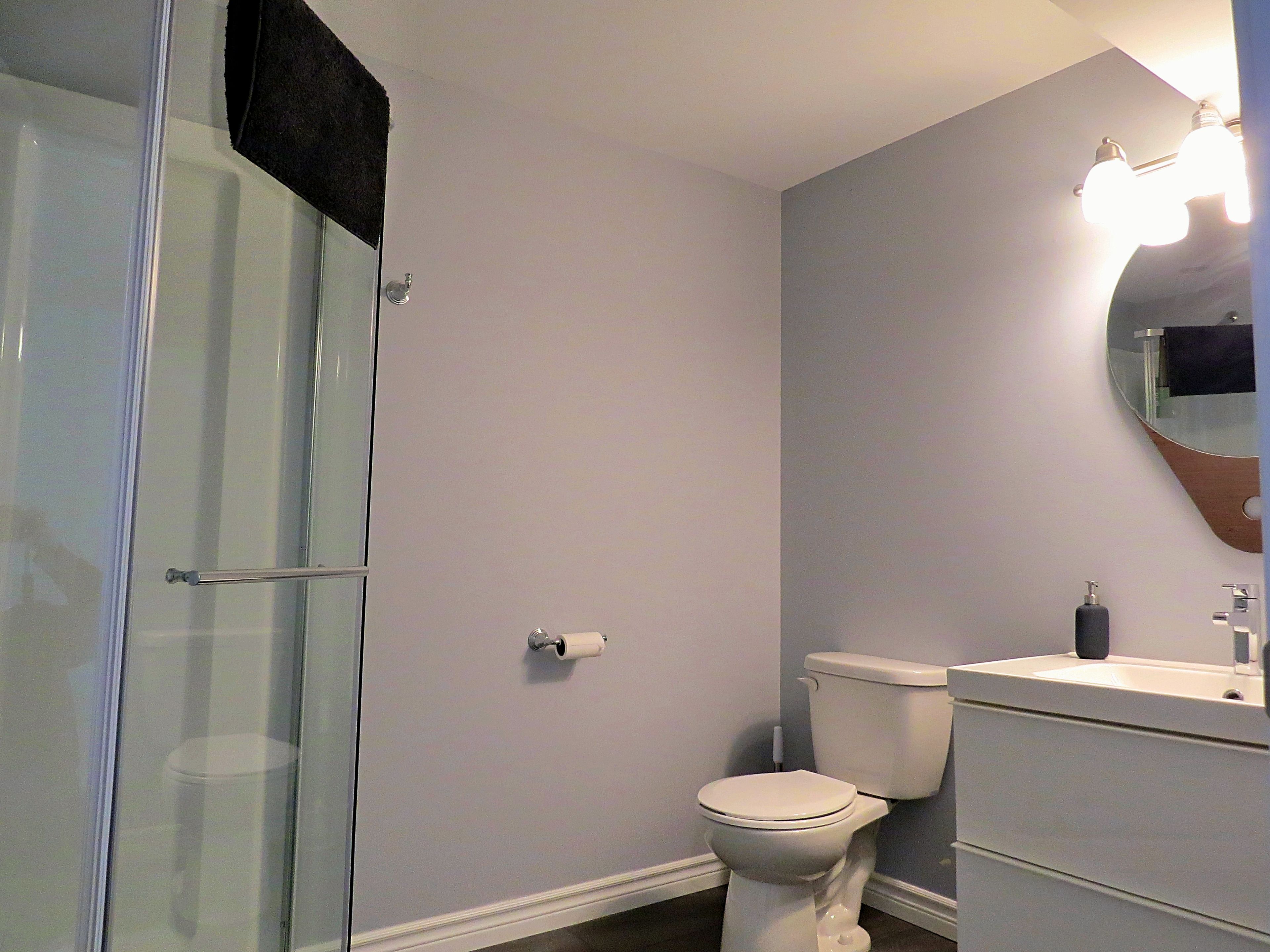 A bathroom with a glass shower enclosure, a toilet, and a sink with a mirror above it.