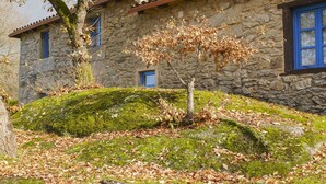 A stone building with a sloped roof, a small window with blue shutters, and a tree in front. - A parada das bestas (Palas de Rei)