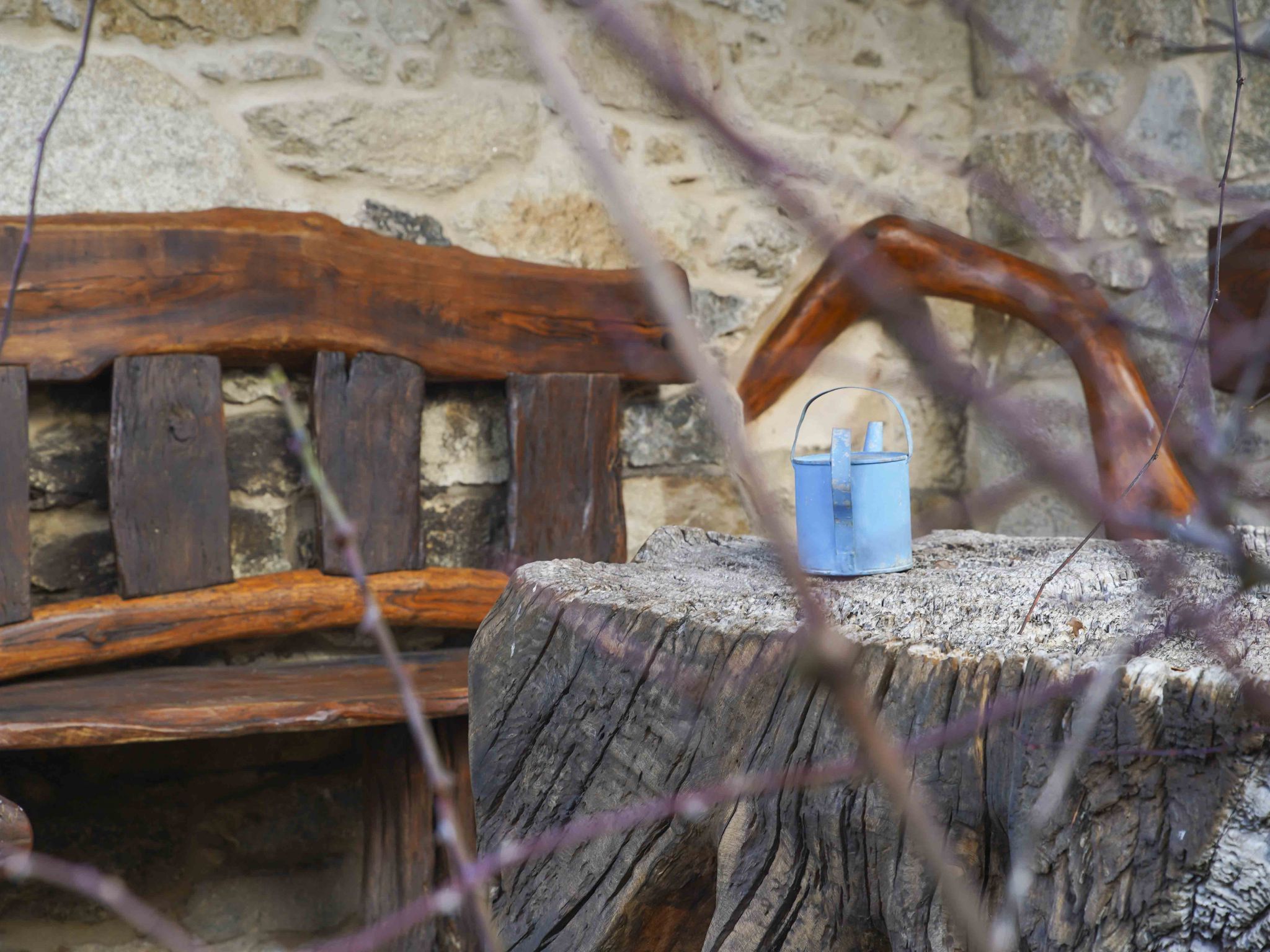 A rustic wooden bench and a metal bucket with a handle, placed on a tree stump.
