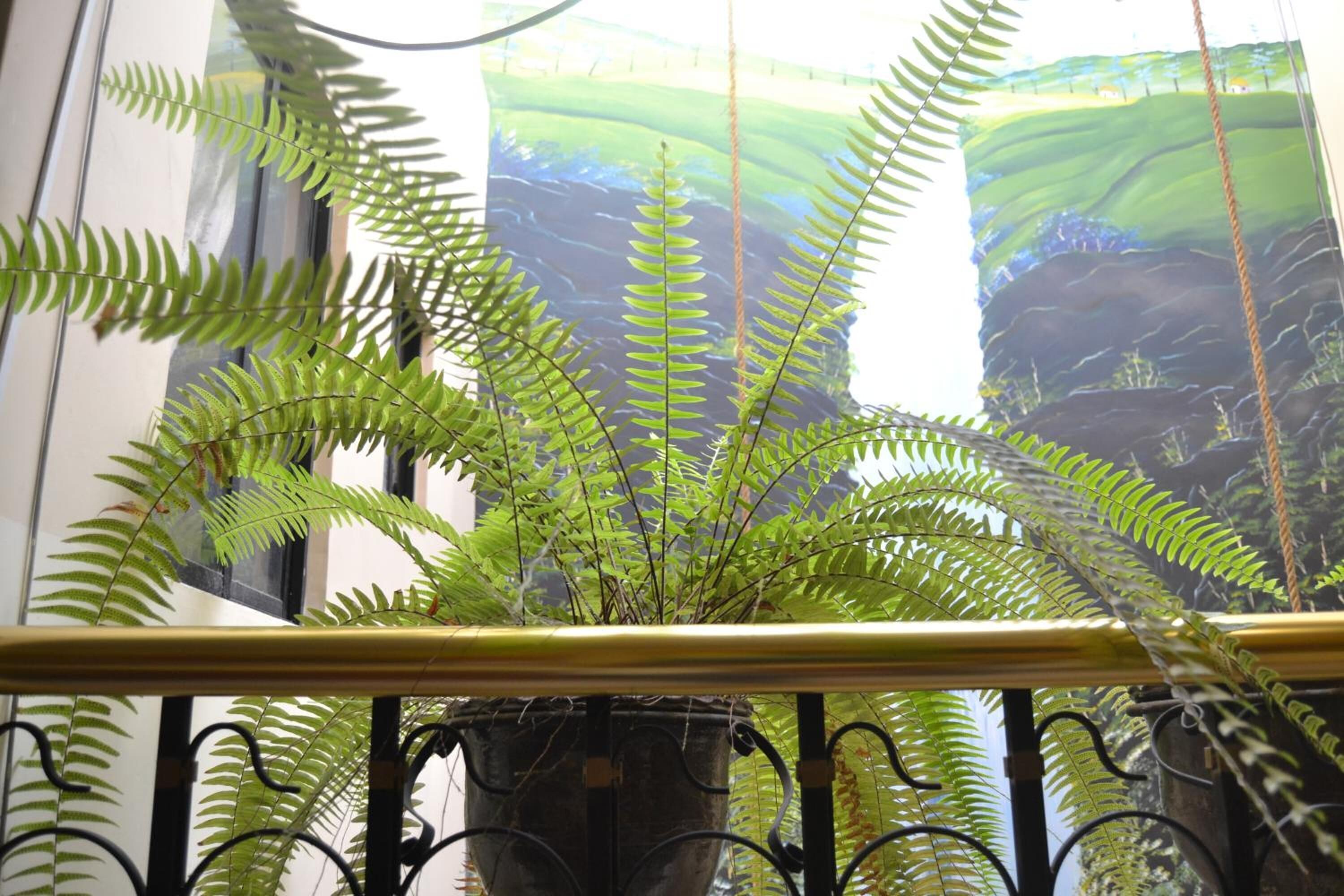 A potted fern plant on a balcony railing with a view of a building and a poster in the background.