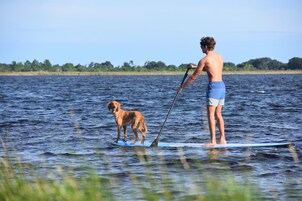 En person står på en SUP-bräda (ståpaddelbräda) och har en hund med sig på en stilla vattenyta.