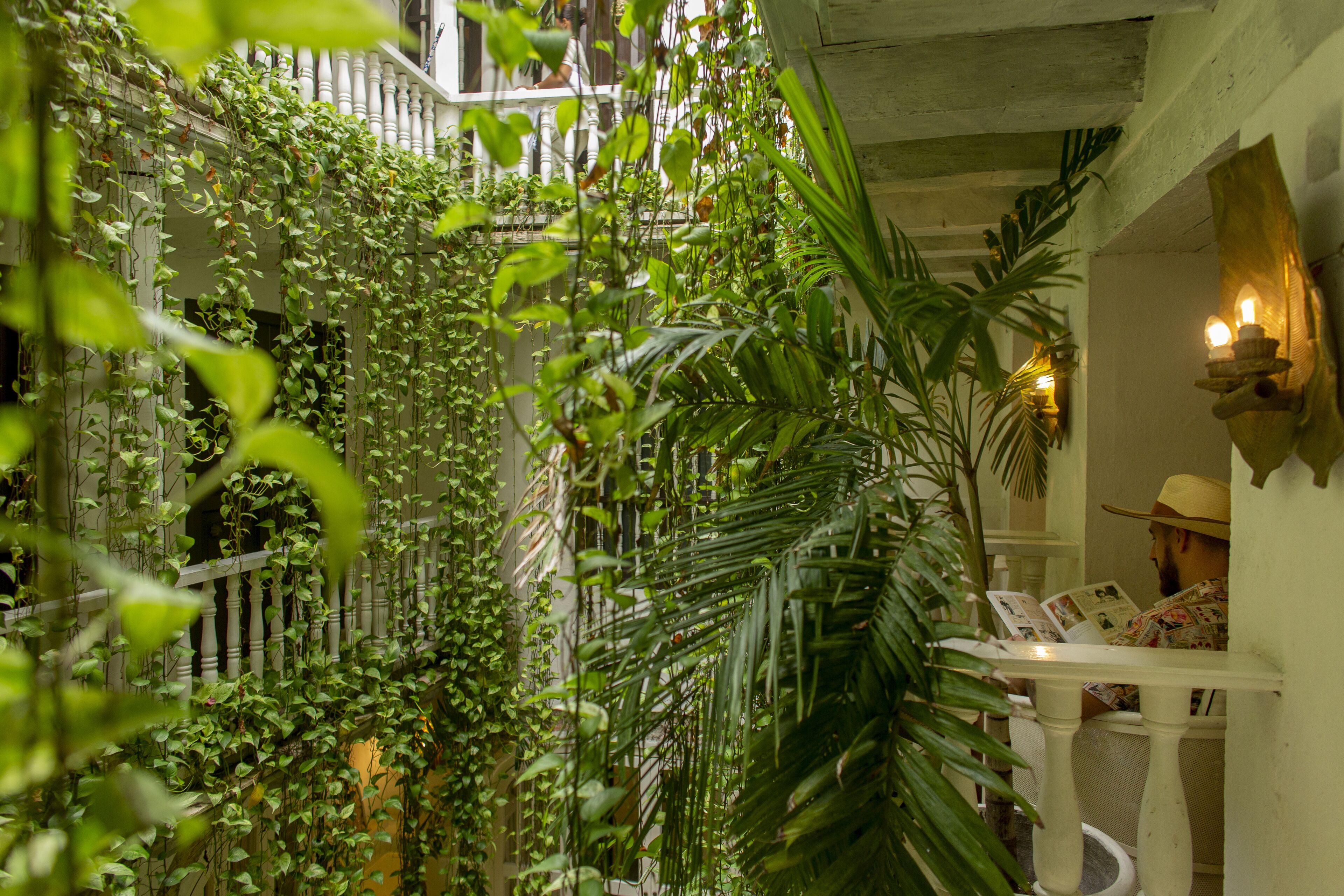 Foto - Leones de Alba Hotel Boutique