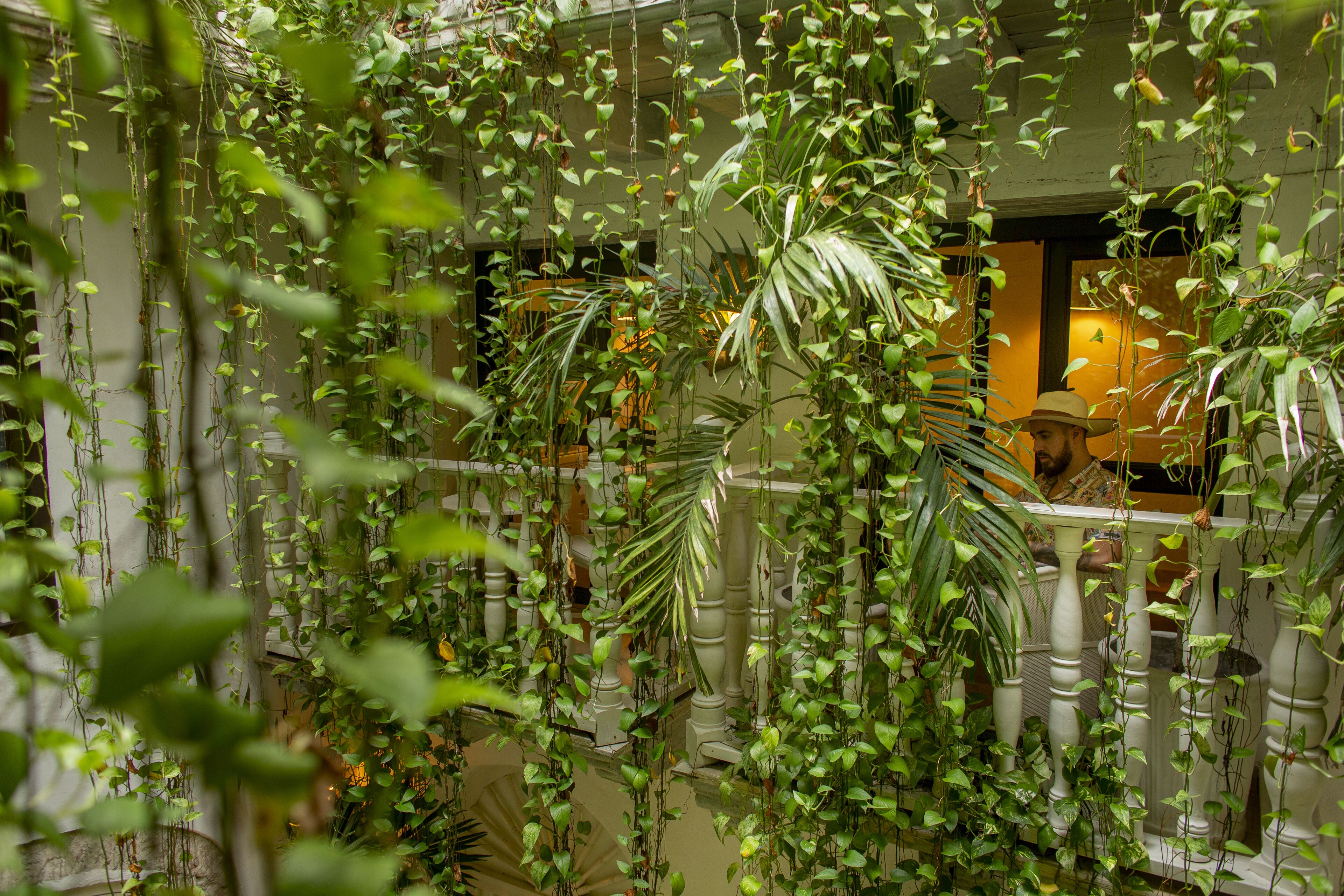 Foto - Leones de Alba Hotel Boutique