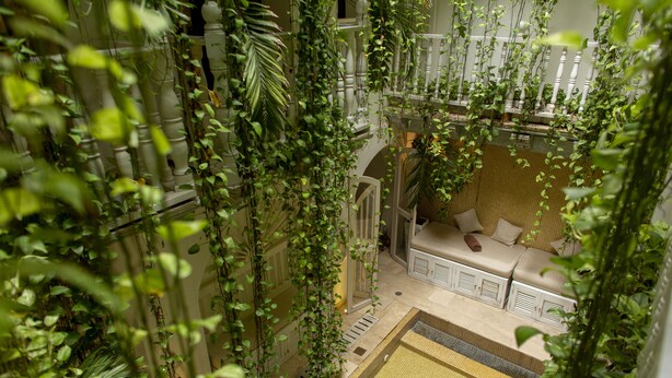 A lush indoor garden with a seating area, a small pool, and a staircase. - Leones de Alba Hotel Boutique (Cartagena)