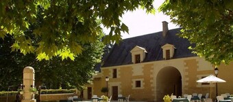 Chateau-hotel de la Menaudiere