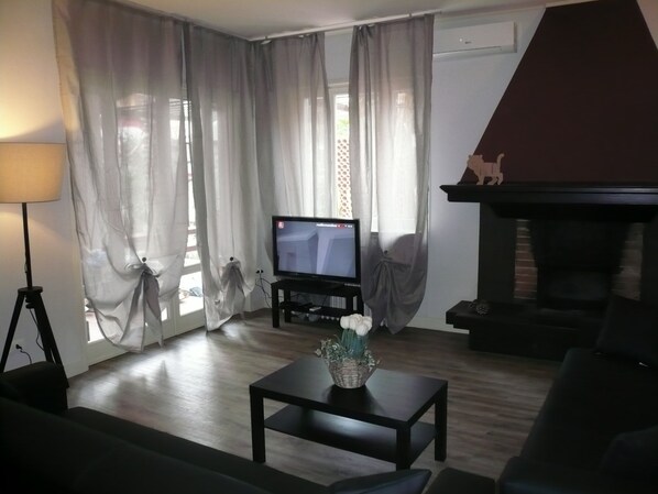 TV, fireplace, books