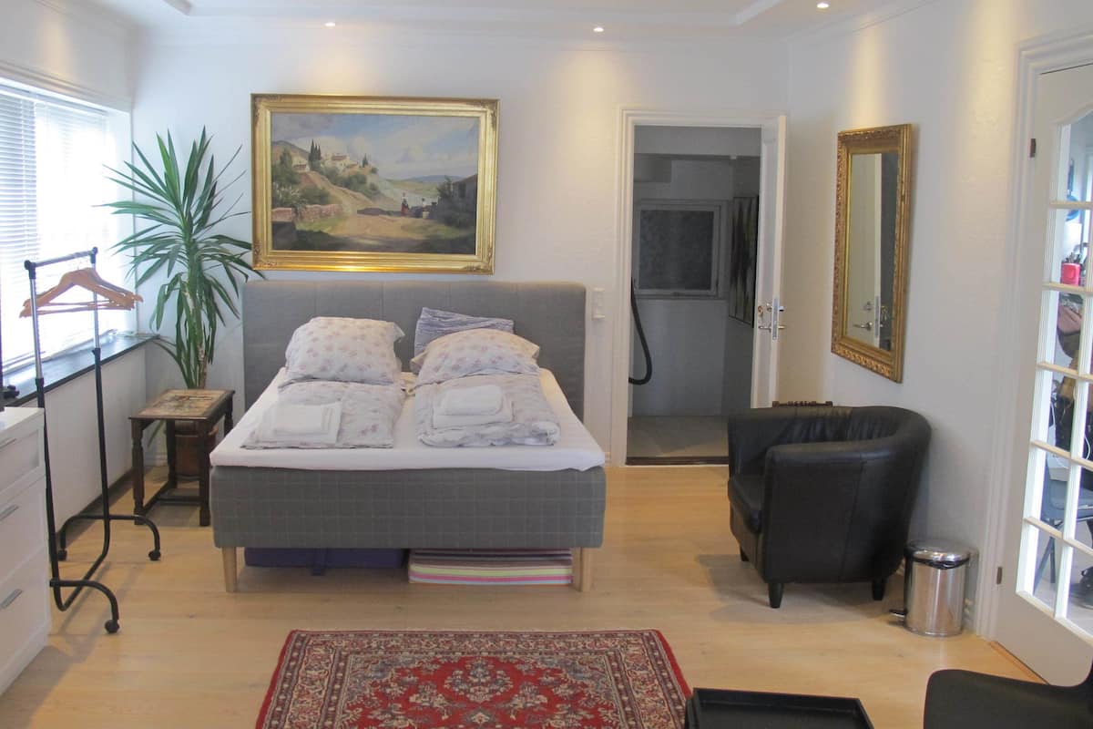Un dormitorio con cama, televisor, planta, cuadro, silla y puerta.
