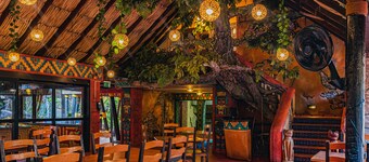 Amazonia - The Jungle Experience Resort