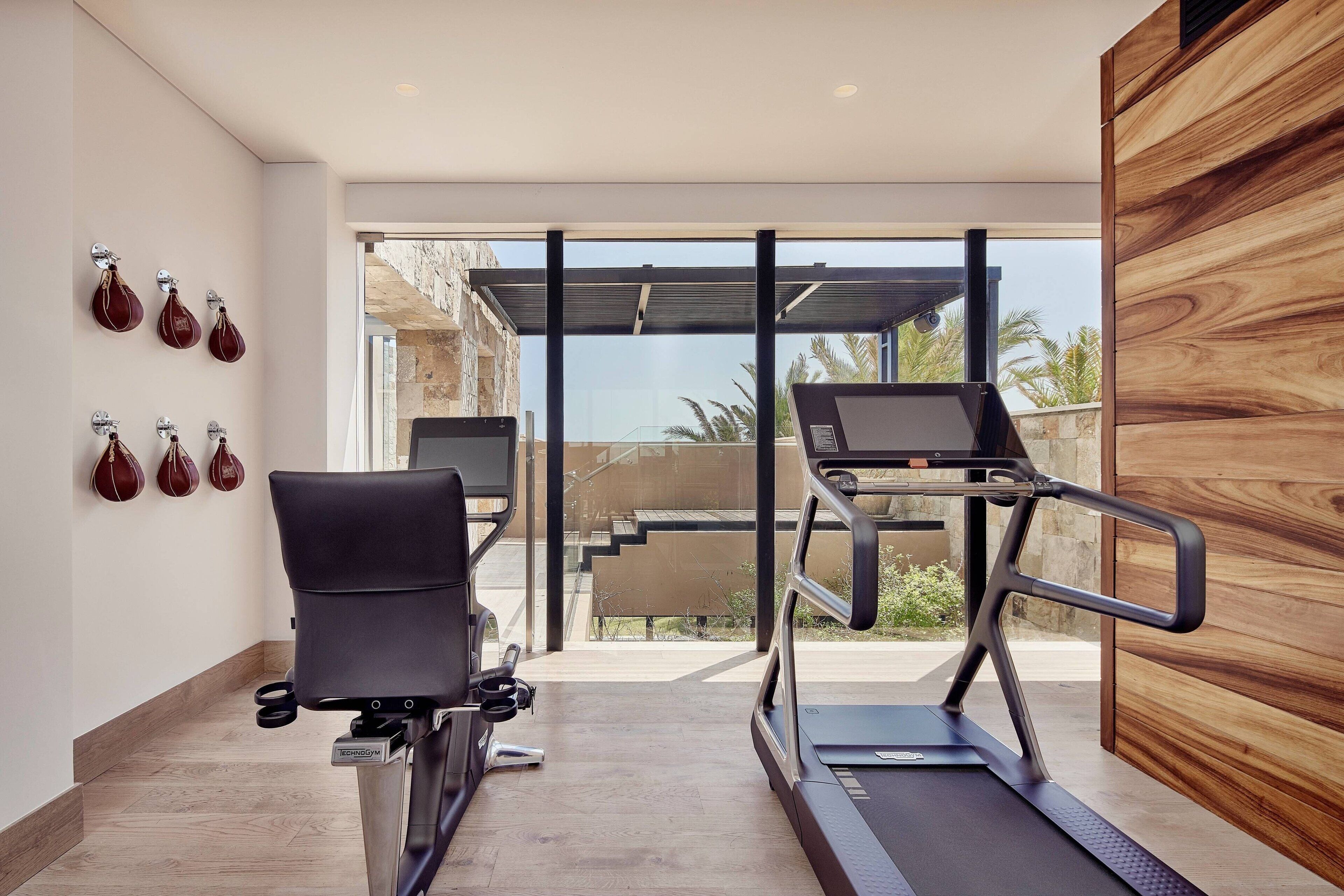 grand villa, 2 bedrooms, terrace | in-room fitness