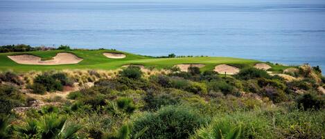 A coastal golf course with bunkers and lush vegetation.