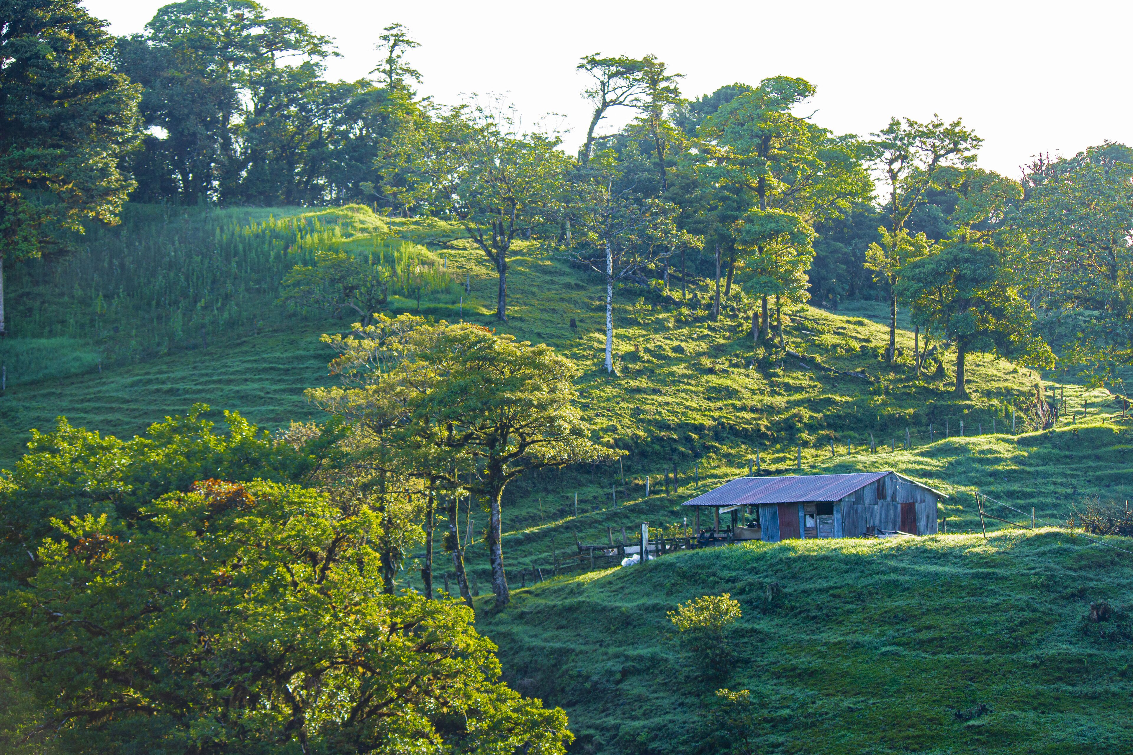 Un paisaje rural con una pequeña casa de madera en una colina cubierta de hierba.