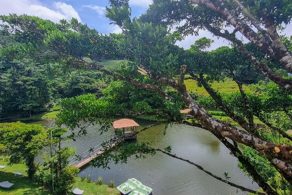 Quarto casal, 1 quarto, vista para o lago | Terraço/pátio