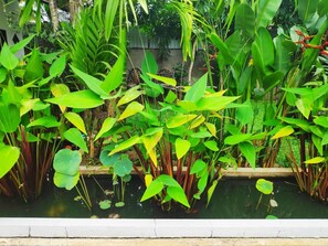 Garden - Angkor Mango Tree Resort (Siem Reap)