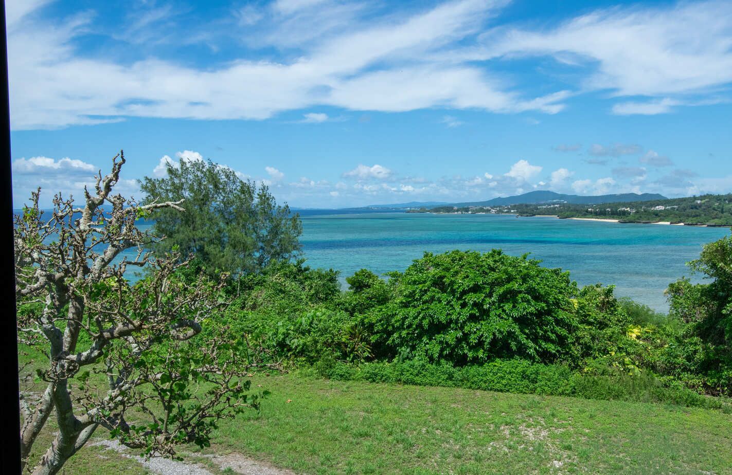 Eine Küstenlandschaft mit freiem Blick auf das Meer, üppiger Vegetation und fernen Hügeln.