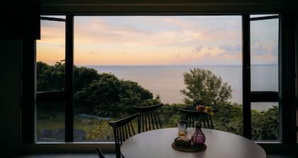 BLUE STEAK WONDER SENAHA