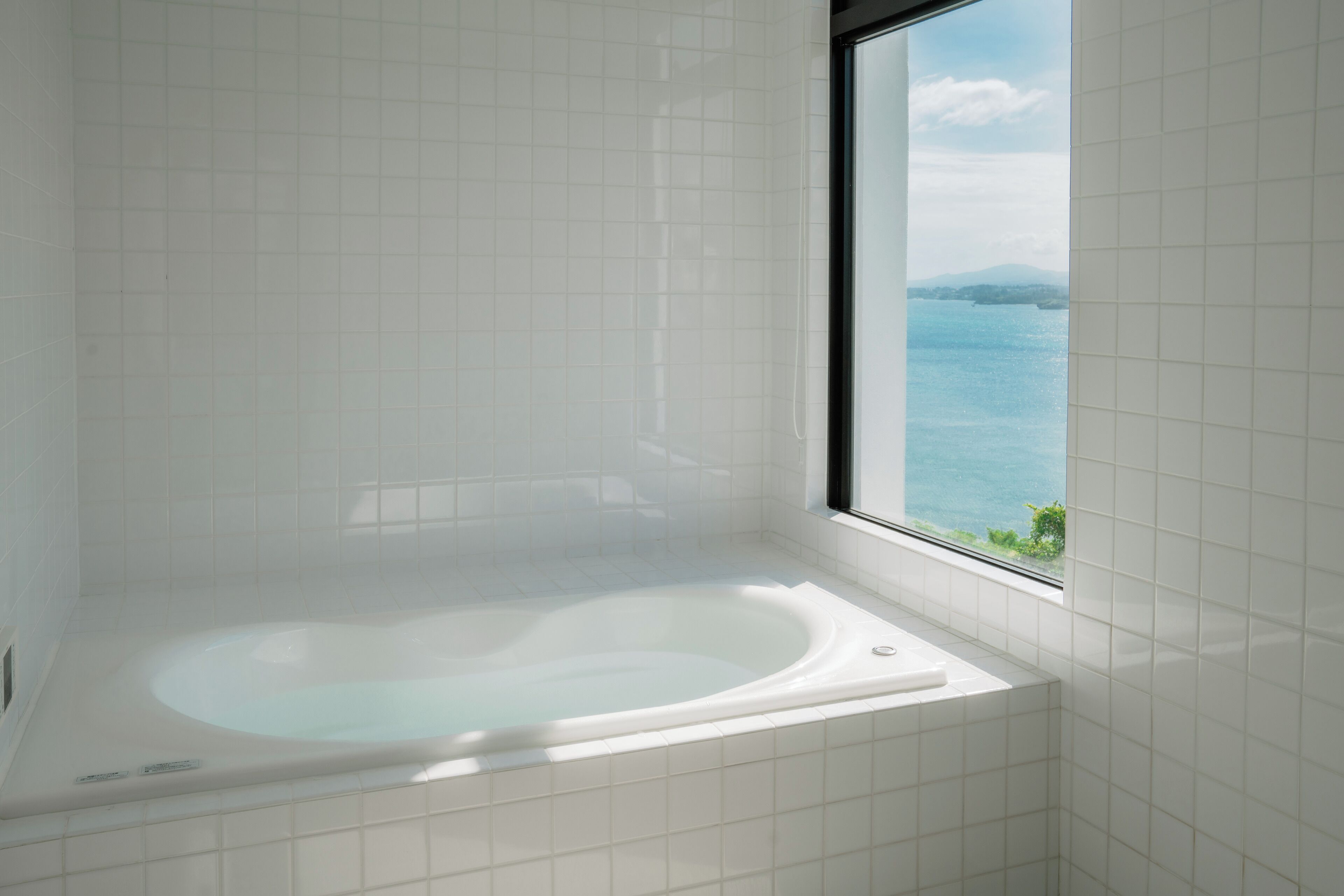Une salle de bain avec une baignoire et une vue sur la mer par une fenêtre.