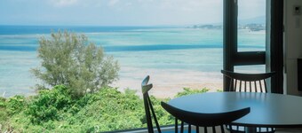 BLUE STEAK WONDER SENAHA