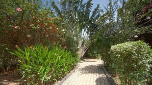 A paved pathway flanked by lush greenery and flowering plants.