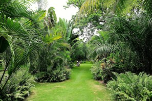 Jardim