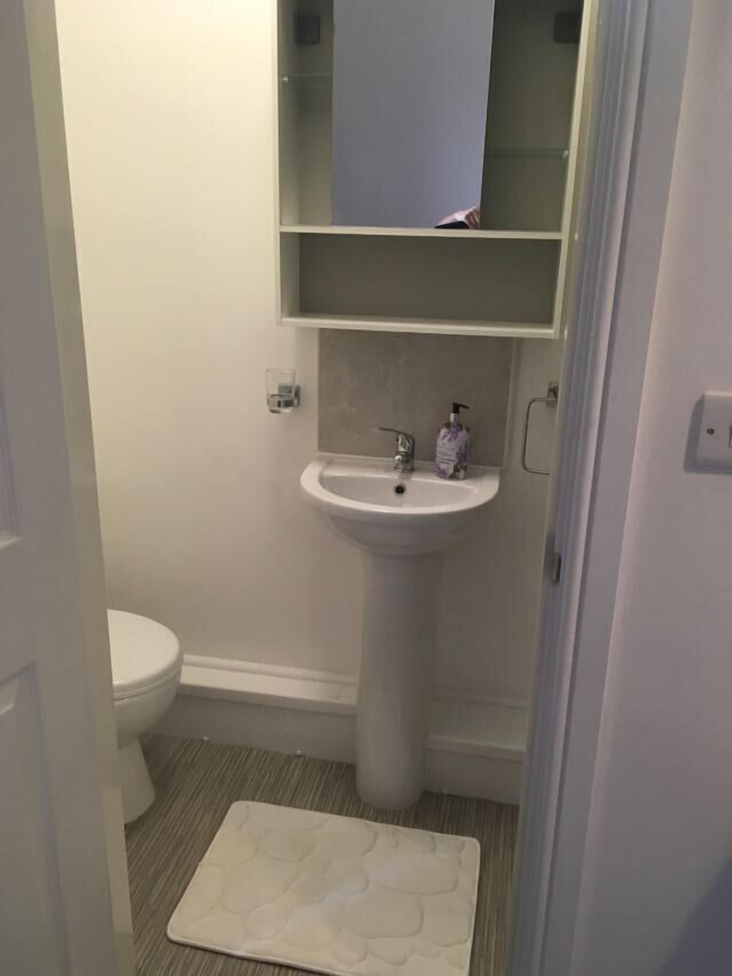 A small bathroom with a white sink, a toilet, and a mirror above the sink.