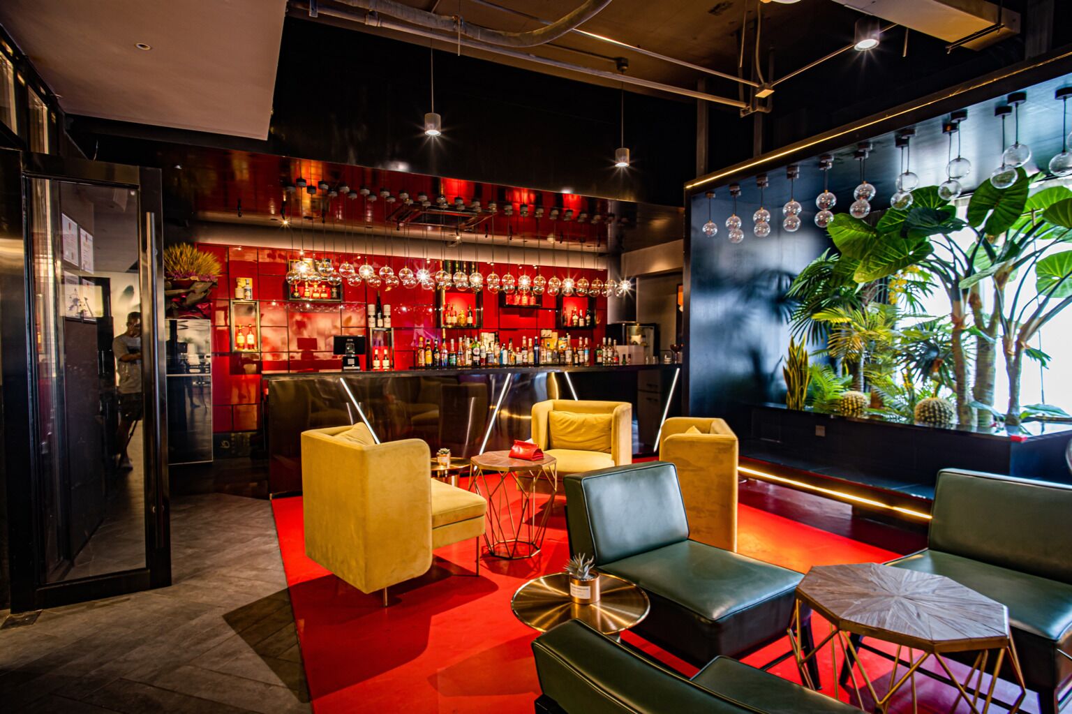 A bar area with seating and a large plant display.
