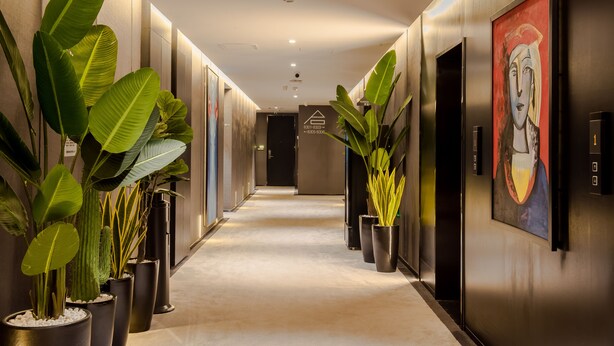 Ein moderner Hotelgang mit Blumentöpfen, Aufzügen und Kunstwerken an den Wänden.