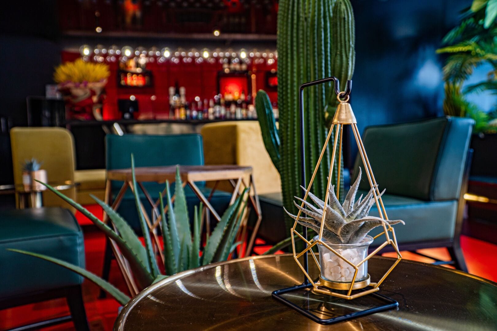 Zona de bar con un cactus, sillas y una mesa con un teléfono.