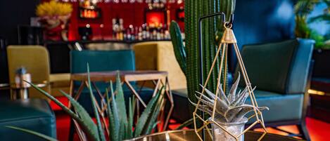 Zona de bar con un cactus, sillas y una mesa con un teléfono.