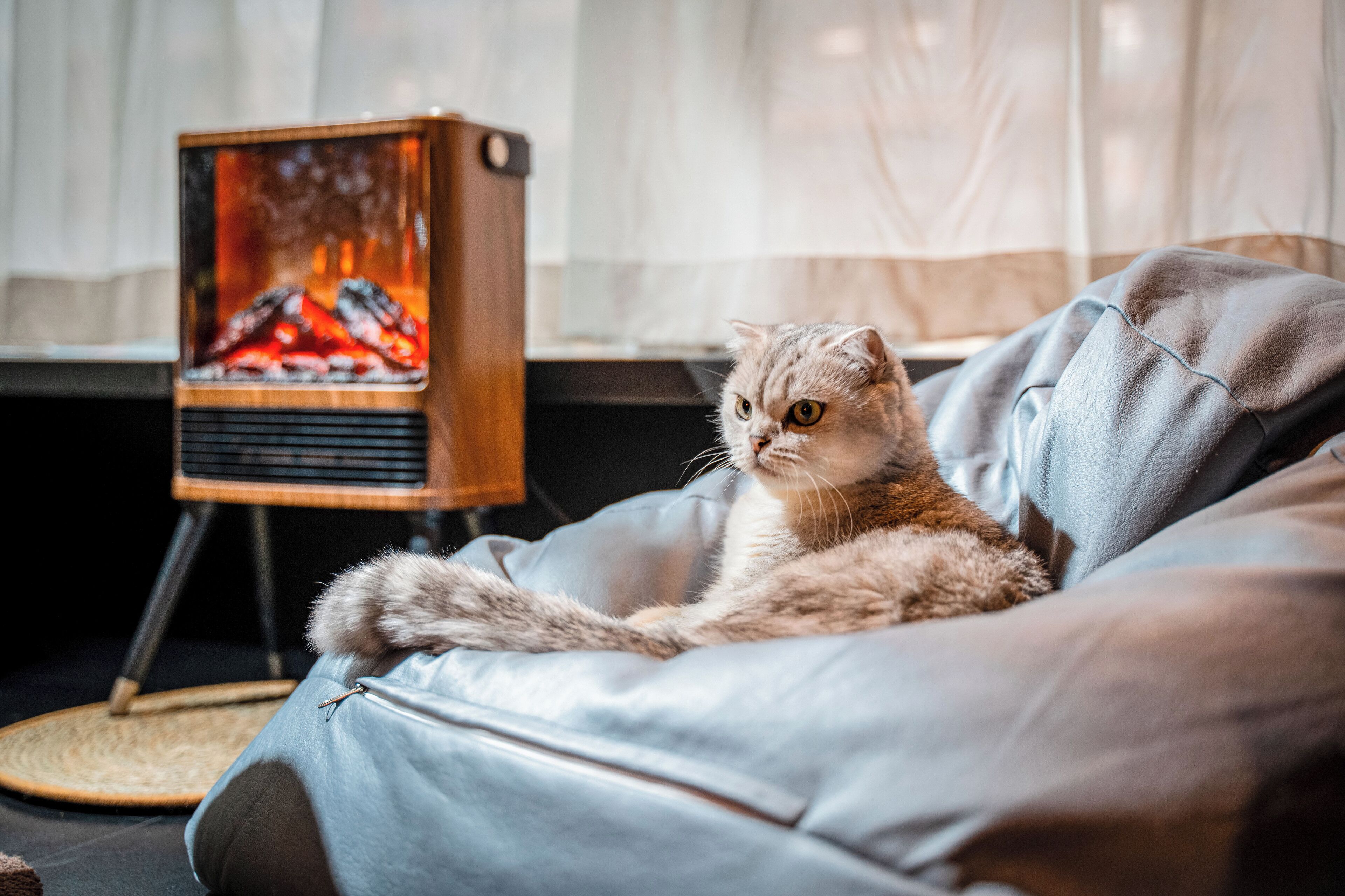 A cat sitting on a grey couch in a room with a wooden cabinet and a television displaying a fire.