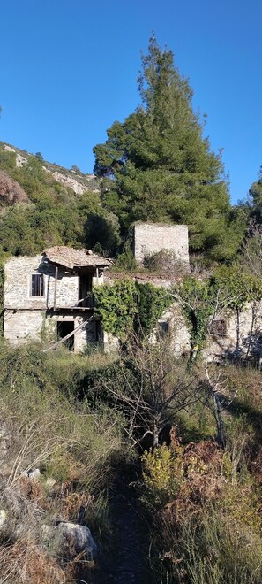 Wandern