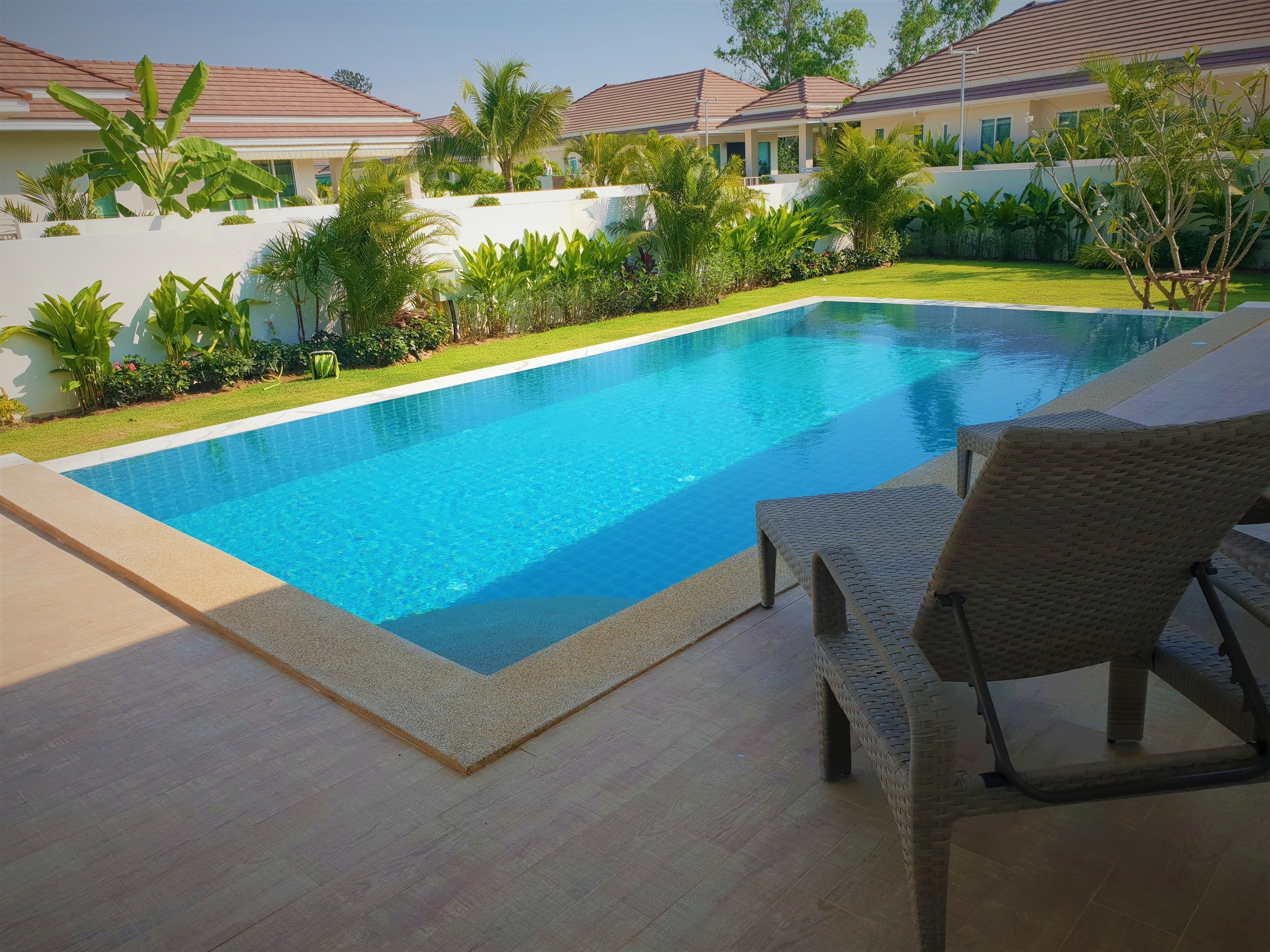 Una piscina con un borde de baldosas, rodeada de abundante vegetación y una pared blanca.
