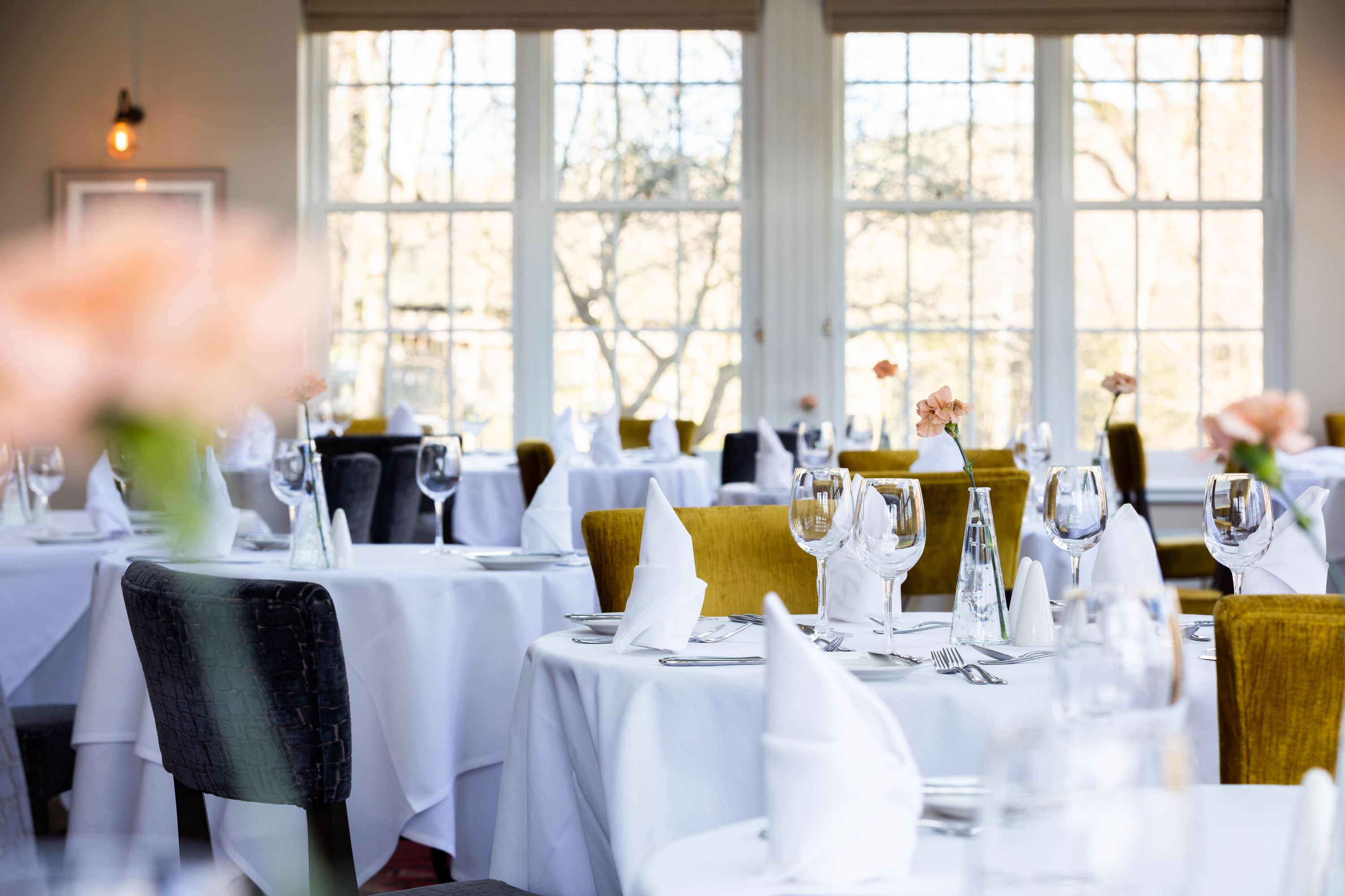 breakfast, lunch, dinner served; local cuisine