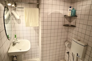 Appartement, 2 slaapkamers | Badkamer | Een douche, gratis toiletartikelen, een haardroger, pantoffels