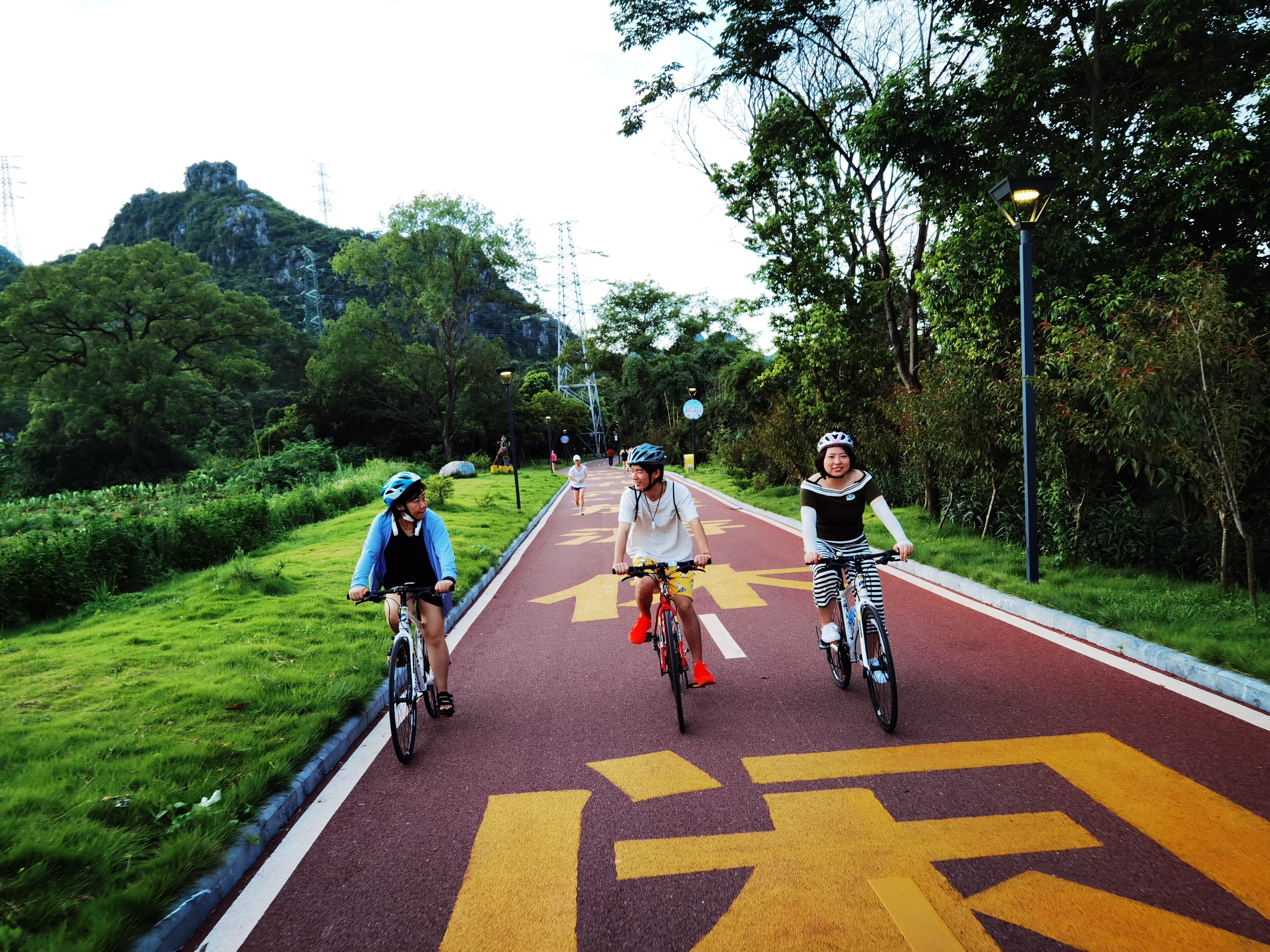 Ein gepflasterter Radweg mit Richtungspfeilen, umgeben von üppiger Vegetation und Bäumen.