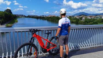 A person standing on a bridge with a red bicycle, overlooking a river and cityscape.