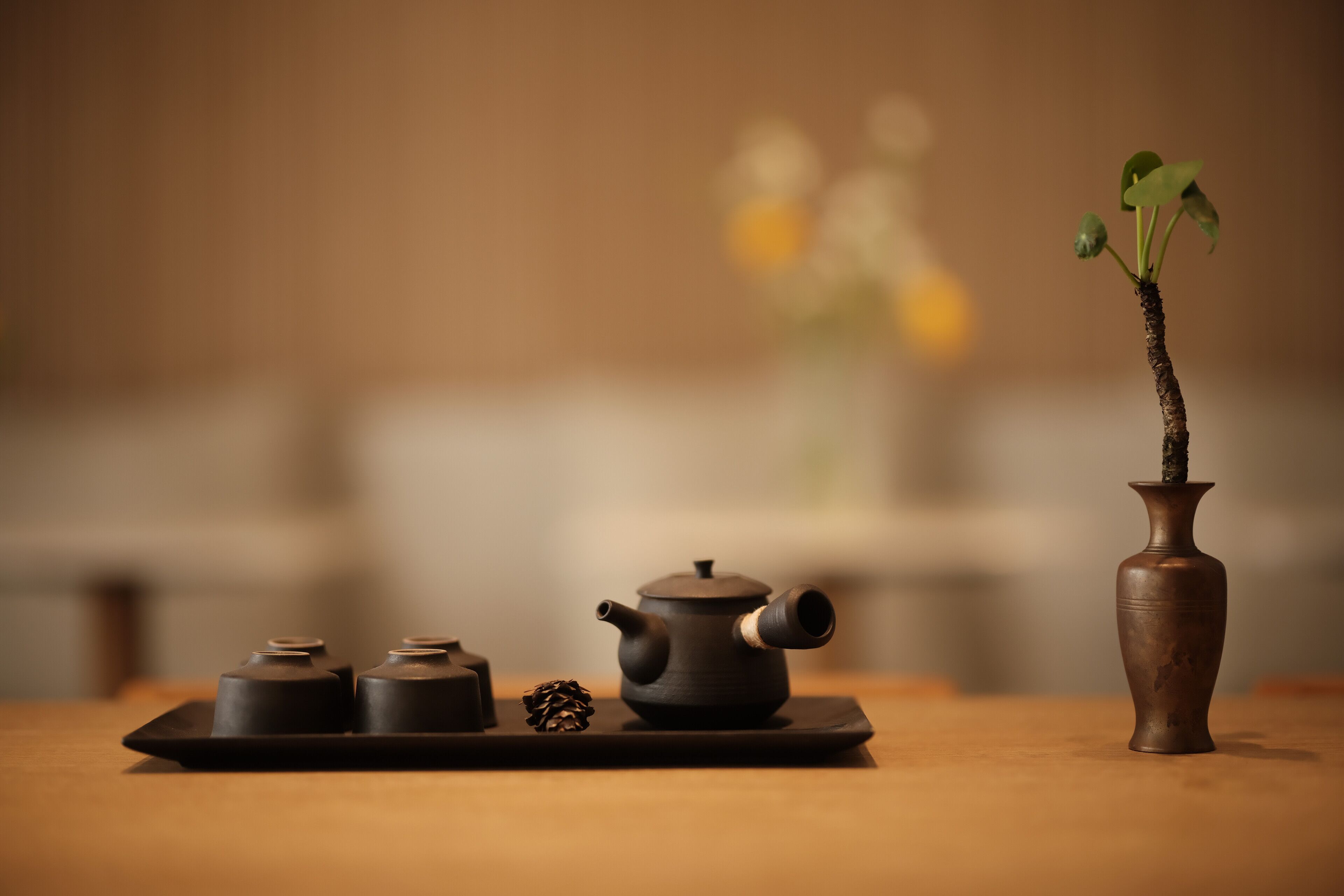 Un service à thé traditionnel, présenté sur un plateau, avec une petite plante en pot à côté.