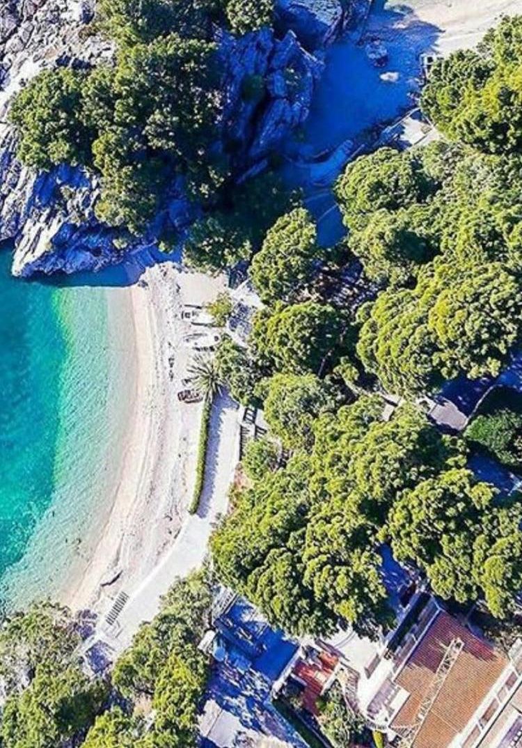An aerial view of a coastal area with rocky cliffs, a beach, and dense greenery.