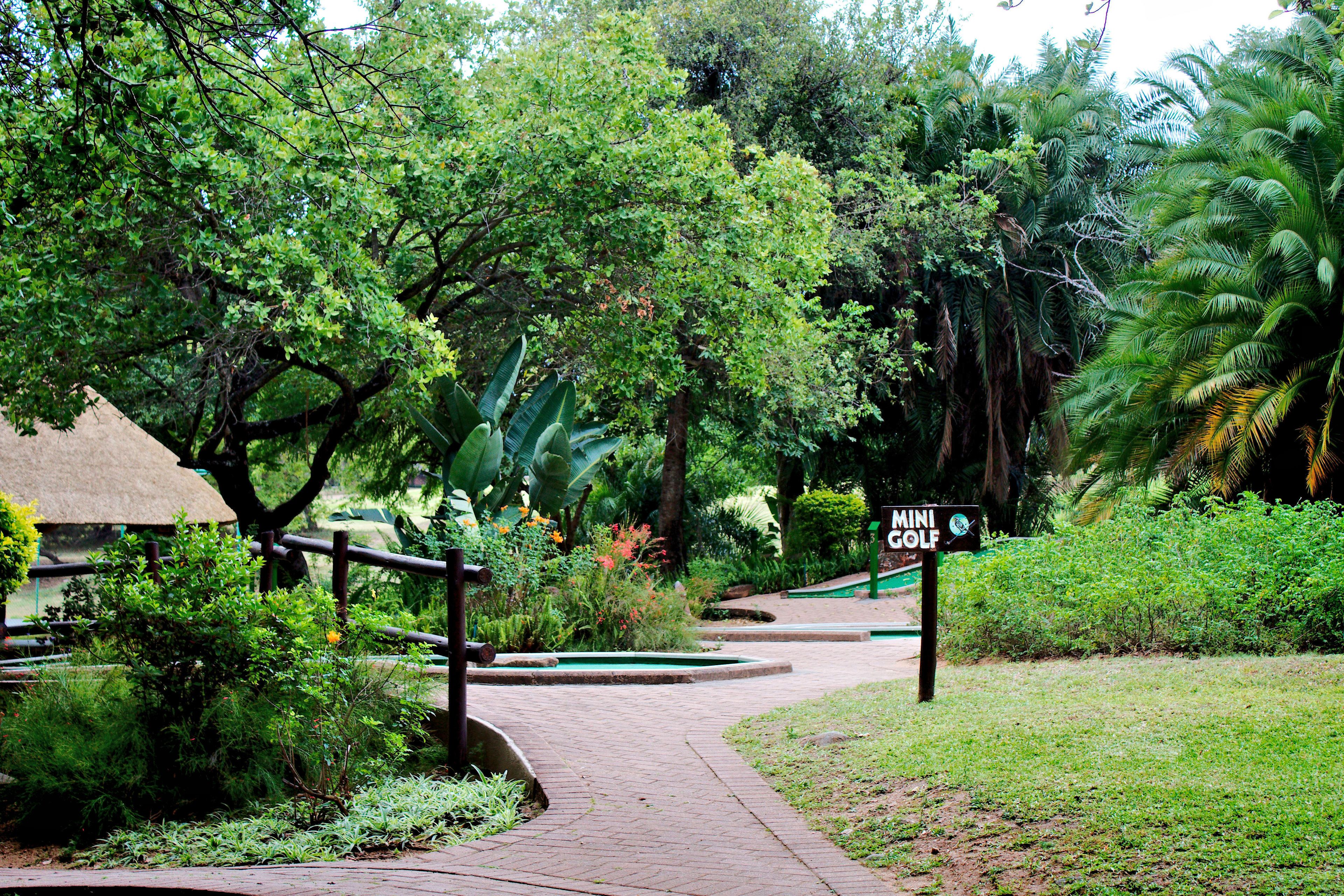 A pathway leading to a mini golf course surrounded by lush greenery and a thatched-roof structure.