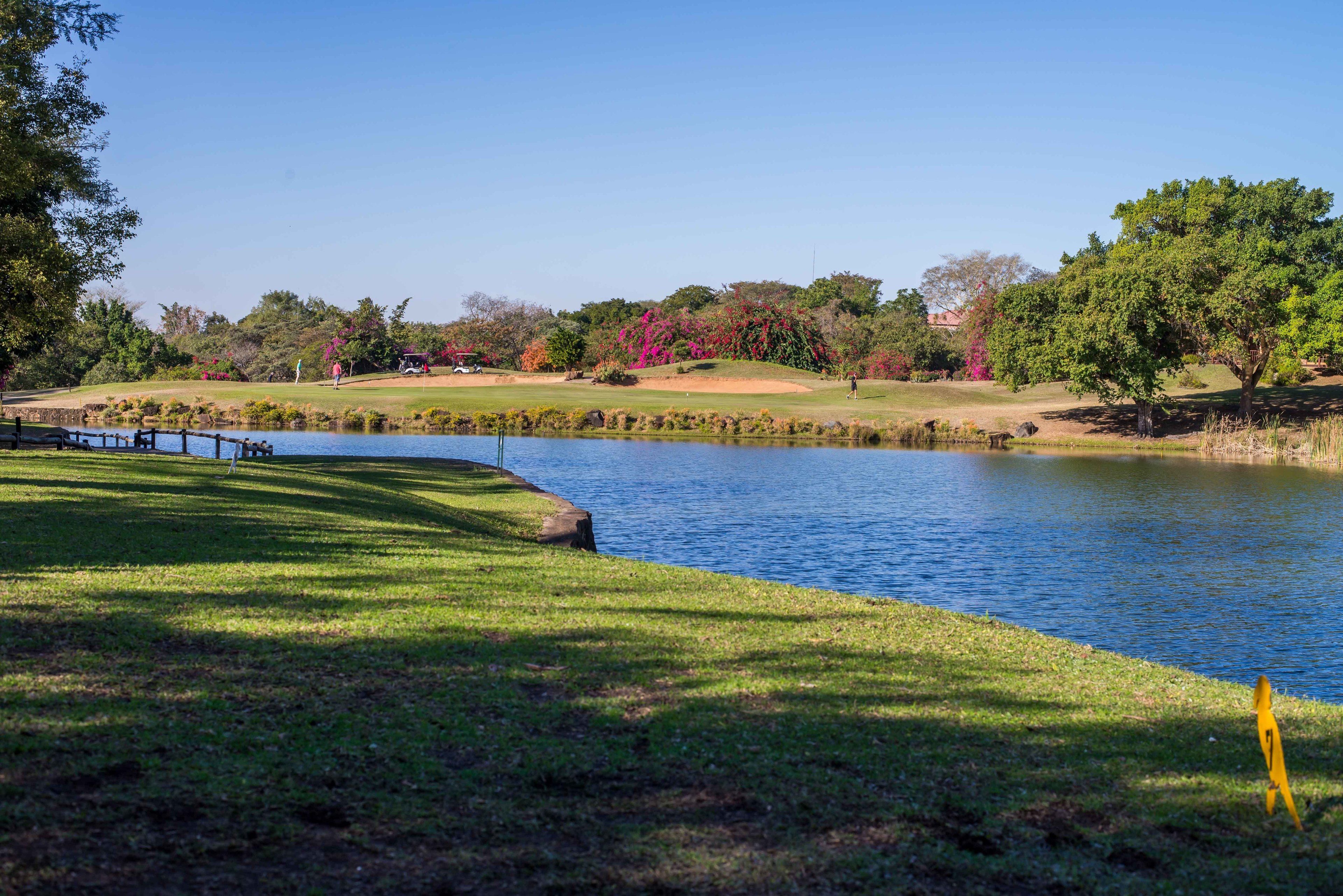 A golf course with a pond, trees, and a clear sky.