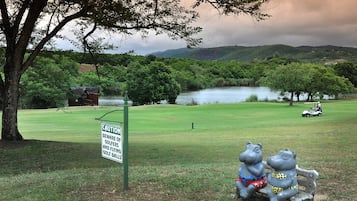 Children's activities