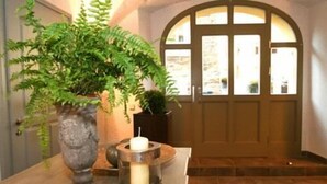 A stone door with a glass panel, a potted fern, and a candle on a table. - DECKERT'S HOTEL AM KATHARINENSTIFT (Lutherstadt Eisleben)