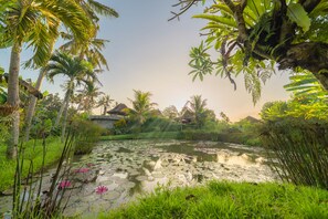 Exterior - Uma Dawa Resort and Spa (Ubud)