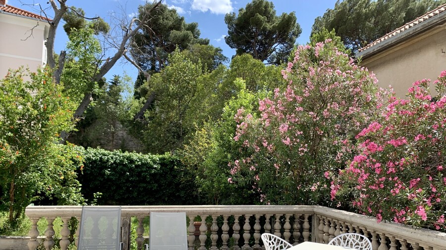 The Duke Luxury Rooms