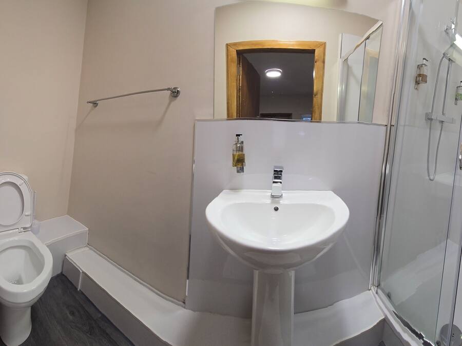 A bathroom with a toilet, sink, and glass-enclosed shower.