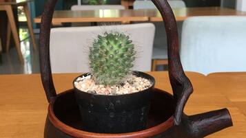 Un cactus en una maceta negra con asa de madera, sobre una mesa de madera en una habitación con comedor y vistas a zonas verdes.