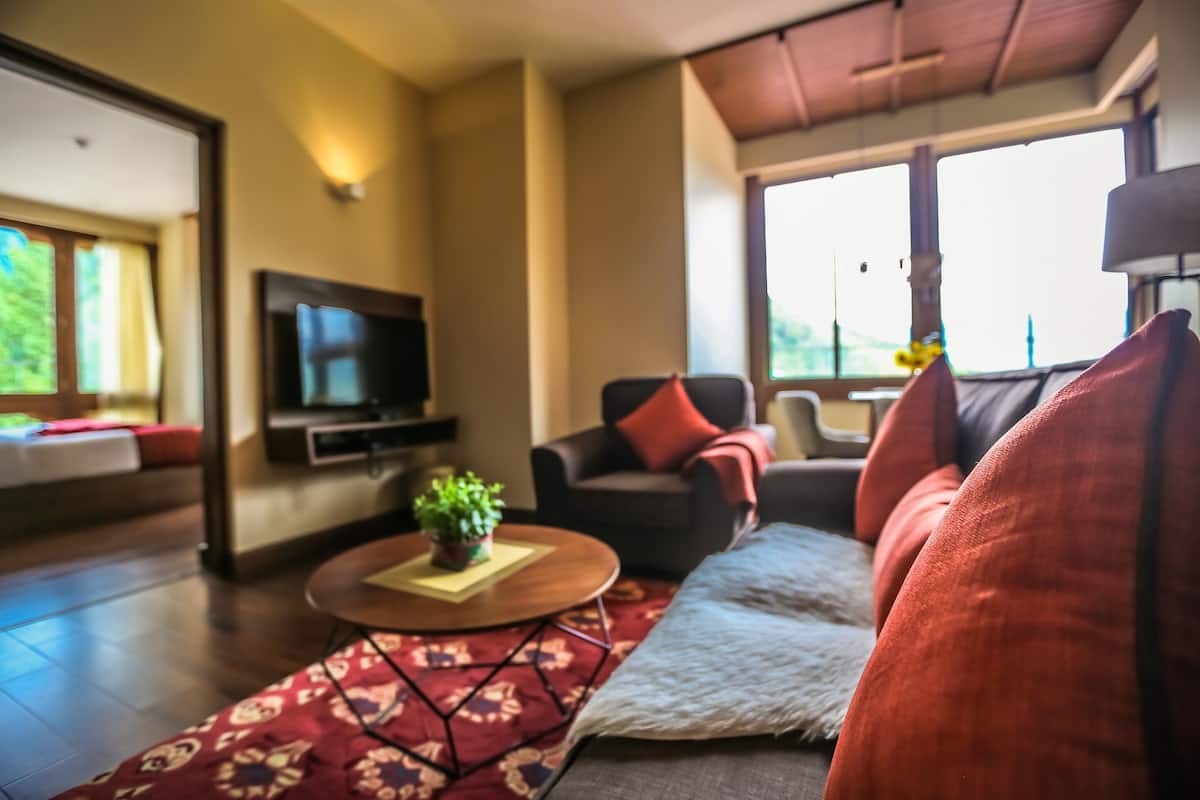 A modern living room with a sofa, armchairs, a coffee table with a plant, and a flat-screen TV.