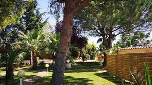 A garden with a large tree, a wooden fence, and a swing set.