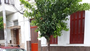 A red car parked on a street with a tree and a building in the background. - Private House near Port of Piraeus (Piraeus)